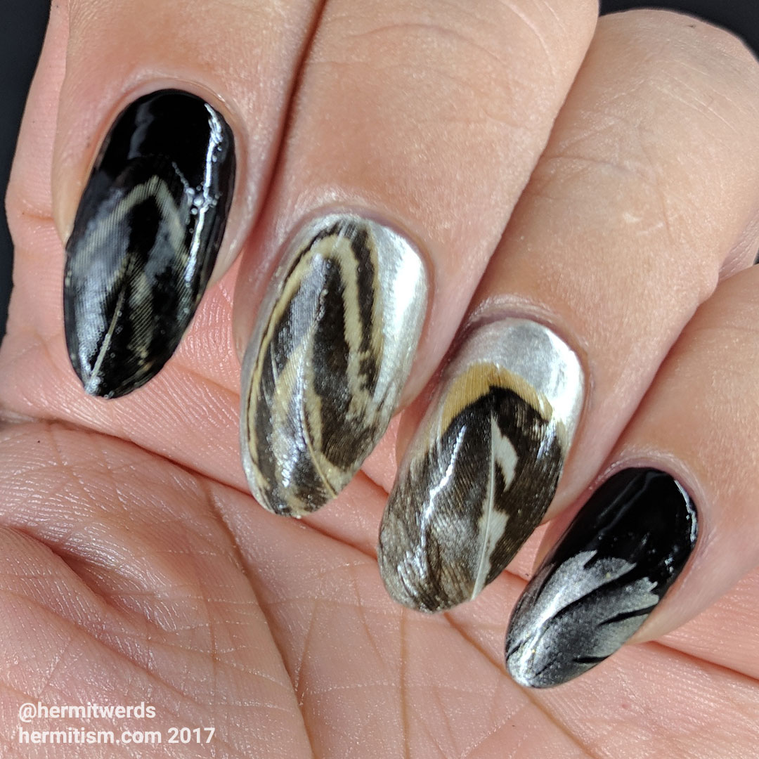 Silver Pheasant - Hermit Werds - natural quail feathers on nails