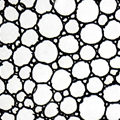 Tipple - Hermit Werds - Zentangle pattern