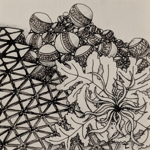 Daily Zentangle - Day 20 - Hermit Werds - Zentangle using Jetties, Sampson, 'Nzeppel and Squid