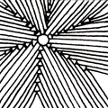 Arukas - Zentangle pattern
