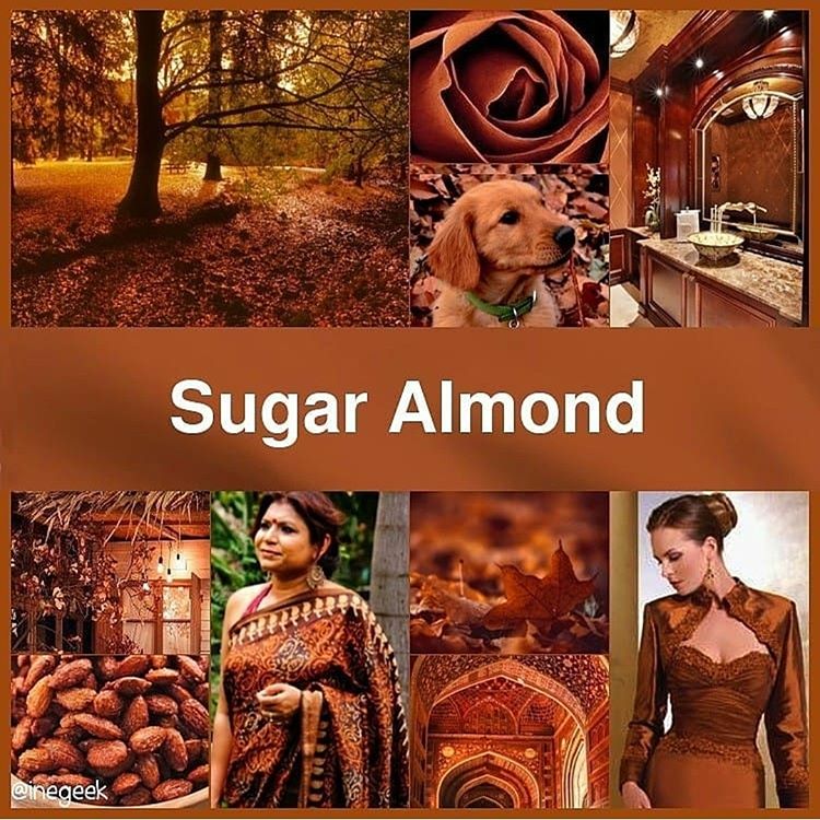 #pantone2019winterchallenge Sugar Almond