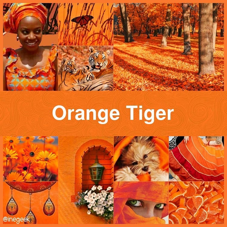 #Pantone2019WinterChallenge - Orange Tiger