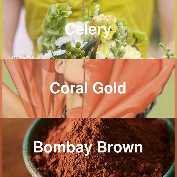 #pantone2020winterchallenge - Celery, Coral Gold, and Bombay Brown