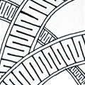 Doodah - Hermit Werds - Zentangle pattern