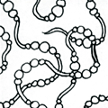 Pearly - Hermit Werds - Zentangle pattern