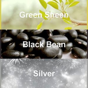 #pantone2020winterchallenge - Green Sheen, Black Bean, Silver