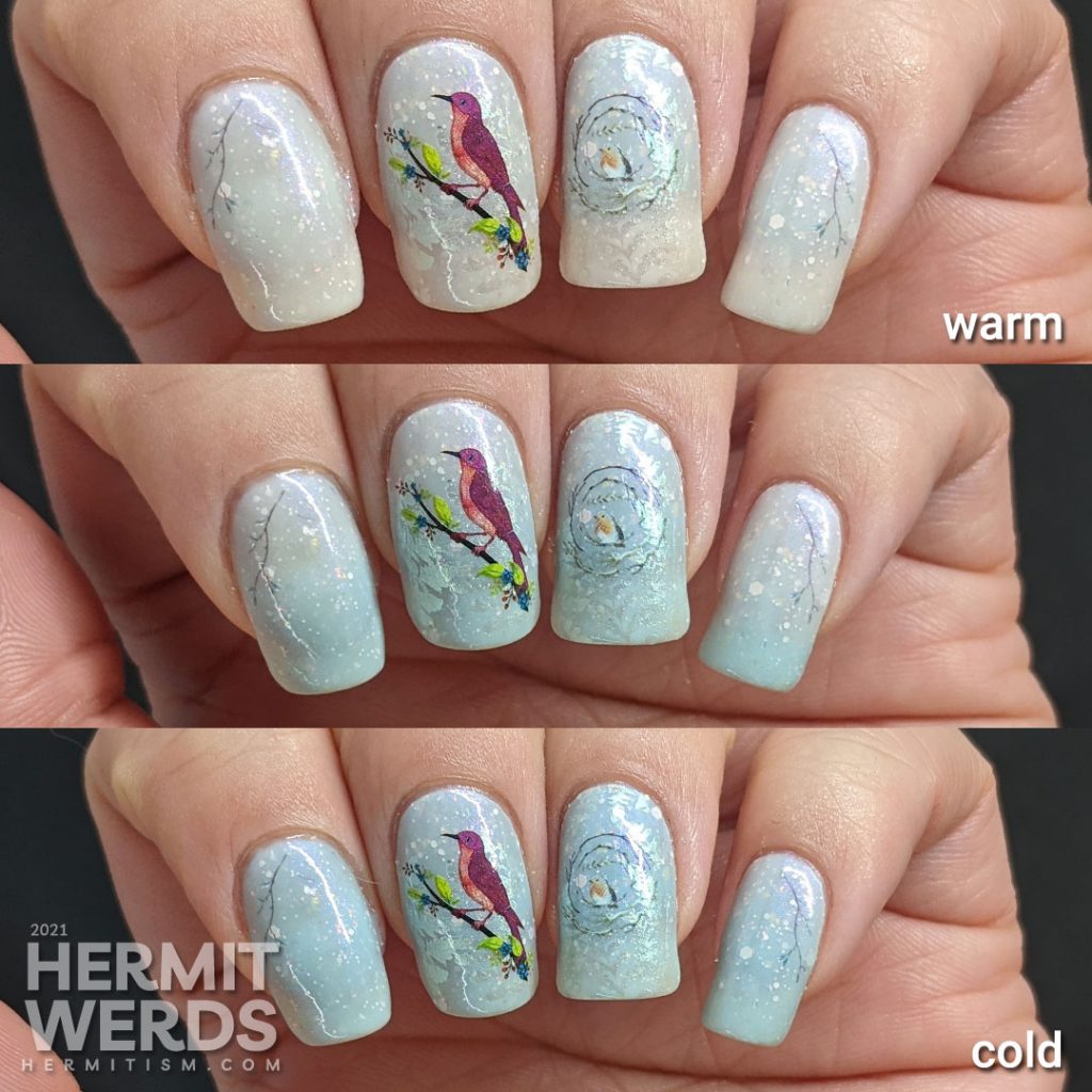 Bird nail art with red bird, robin, and bluebird water decals placed on a white and blue thermal polish with shimmering ferns stamped on top.