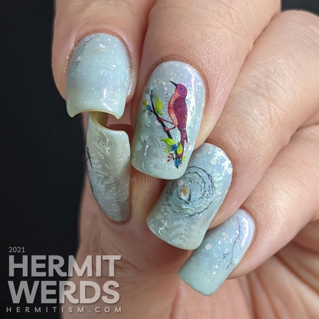 Bird nail art with red bird, robin, and bluebird water decals placed on a white and blue thermal polish with shimmering ferns stamped on top.