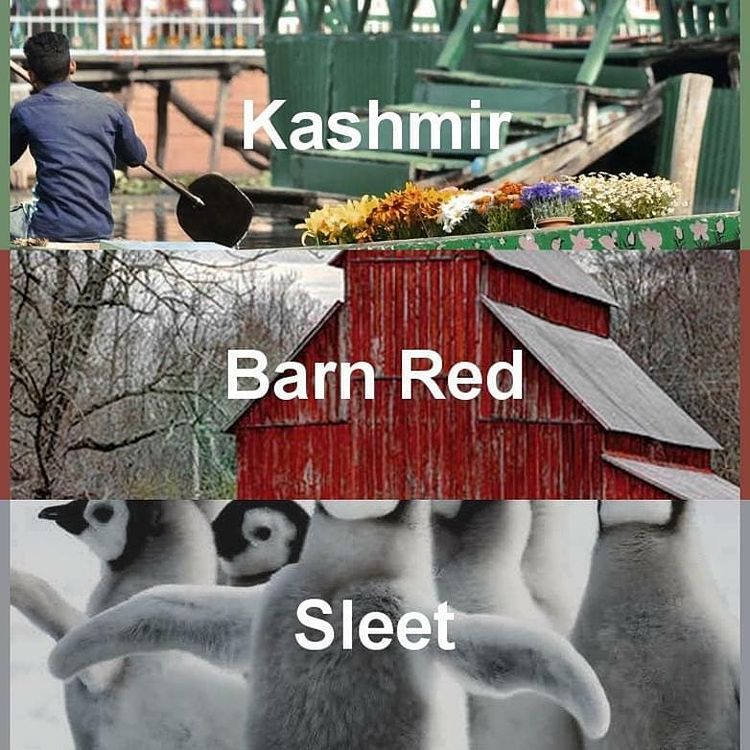 #pantone2020winterchallenge - Sleet, Kashmir, Barn Red