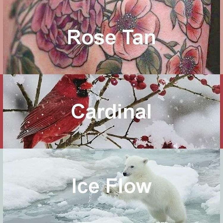 #pantone2020winterchallenge - Rose Tan, Cardinal, Ice Flow