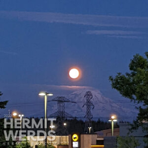 Photo of the Buck Moon taken in 2022 with Mount Rainier in the background.