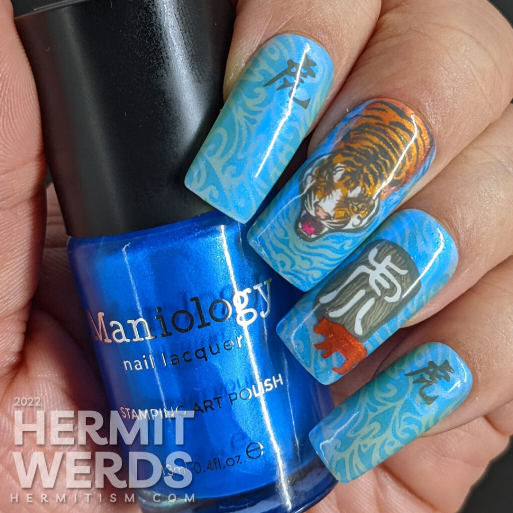 Chinese New Year of the Tiger nail art in their lucky colors (blue, grey, white, orange) w/nail stamping decals of tigers & Chinese characters.