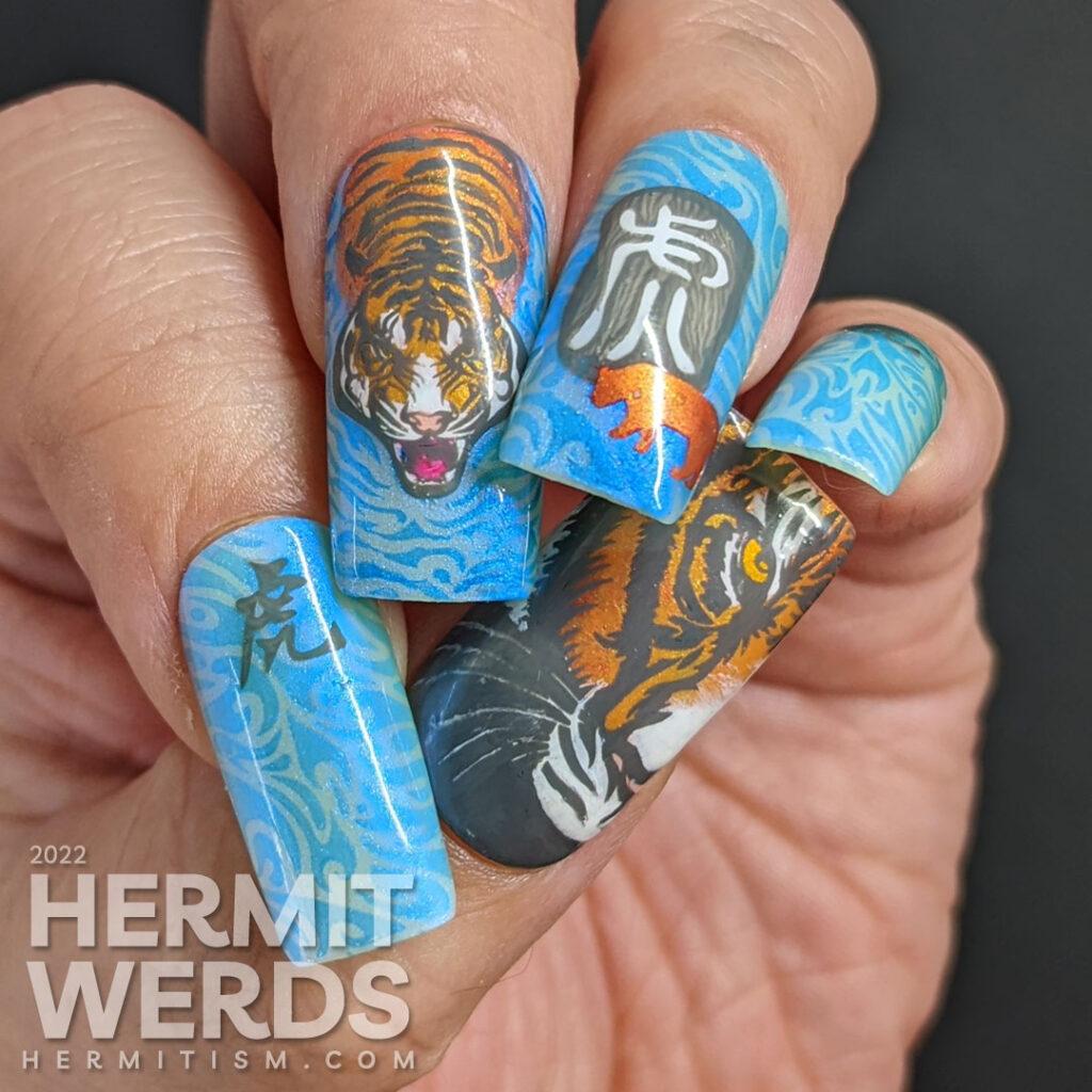 Chinese New Year of the Tiger nail art in their lucky colors (blue, grey, white, orange) w/nail stamping decals of tigers & Chinese characters.