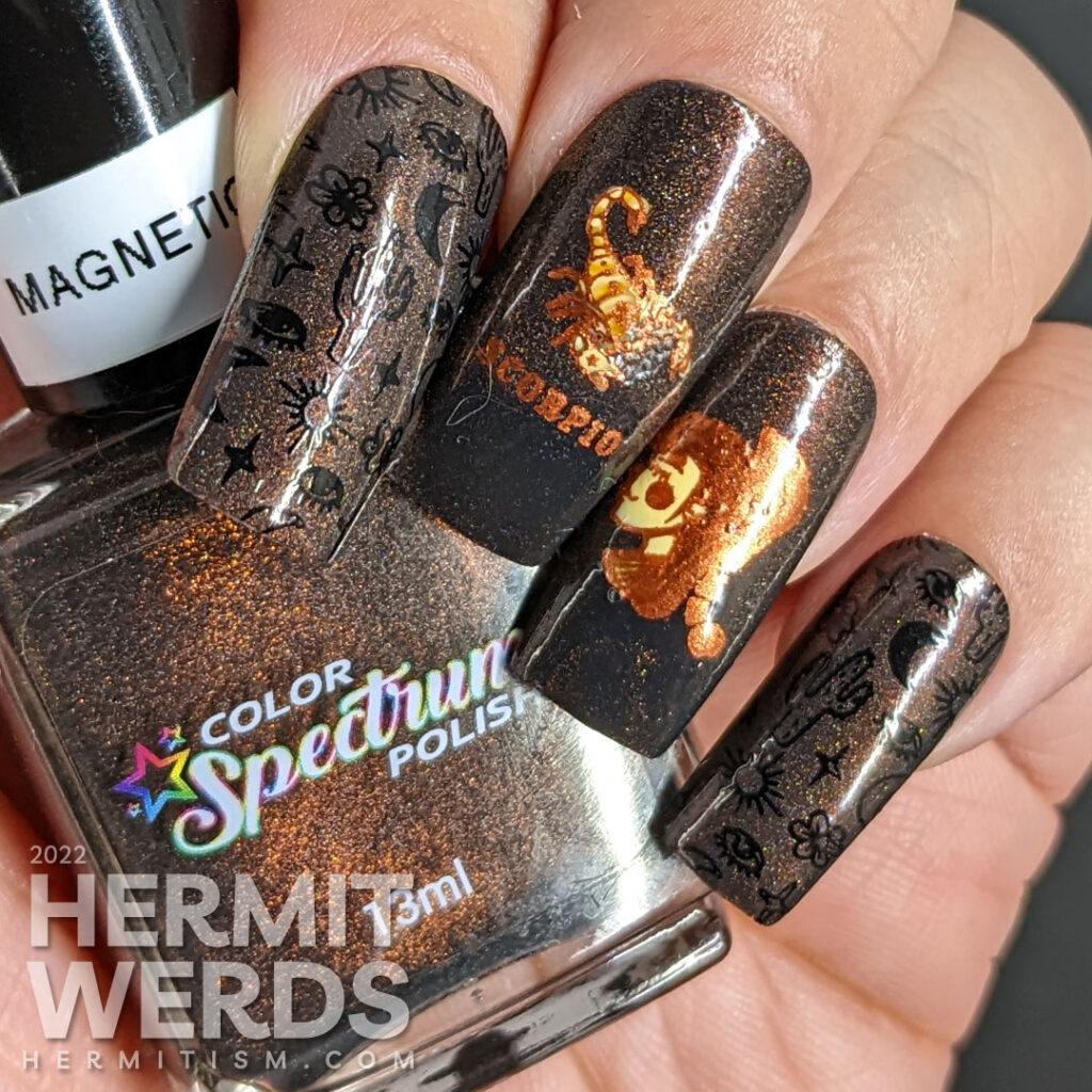 A black magnetic Scorpio nail art with stamping images of desert things, a scorpion lady, and beautiful scorpions in coppers and oranges.