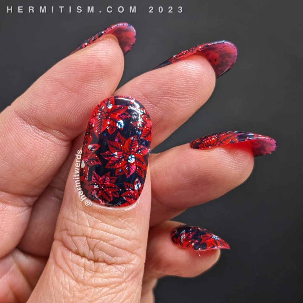 Poinsettia nail art using a bright red jelly with white glitter sandwiched inside and a dark blue negative space stamp of poinsettias.