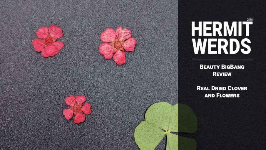 Dried Clover/Flowers - Hermit Werds - product photo of Beauty BigBang's dried flowers