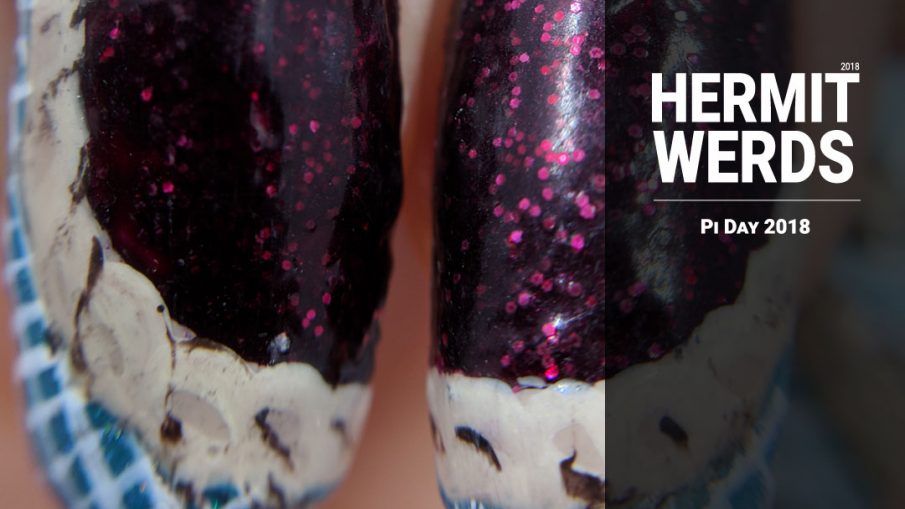 Pi Day 2018 - Hermit Werds - raspberry pie nails on a checkered blue cloth