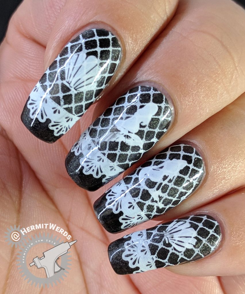 Black & White Lace - Hermit Werds