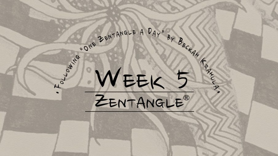 Daily Zentangle - Week 5 - Hermit Werds - Lisa's fifth week of progress; background is Squid, Knightsbridge tangleation, Static, and Nipa tangleation