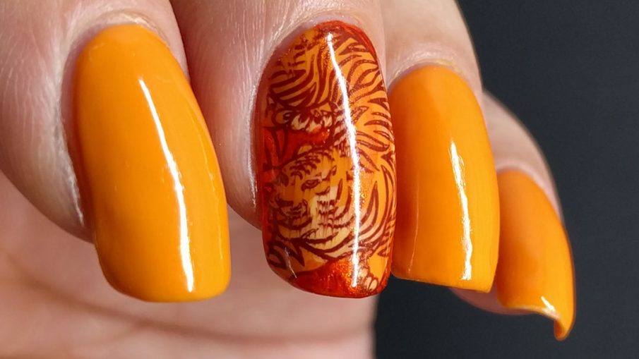 Orange nail art with a fierce tiger stamping decal inspired by Pantone's Orange Tiger color.
