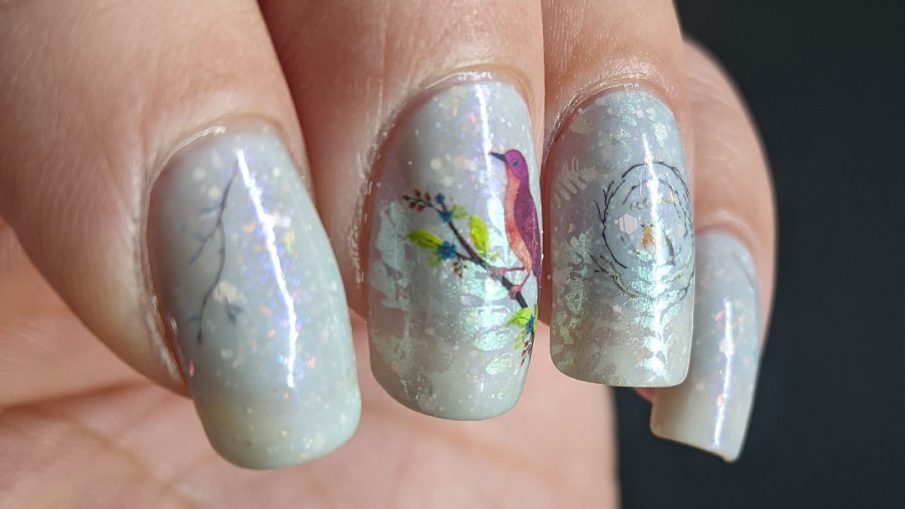 Bird nail art with red bird, robin, and bluebird water decals placed on a white and blue thermal polish with shimmering ferns stamped on top.
